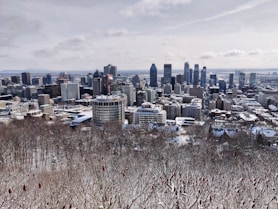 city skyline under blue sky during daytime