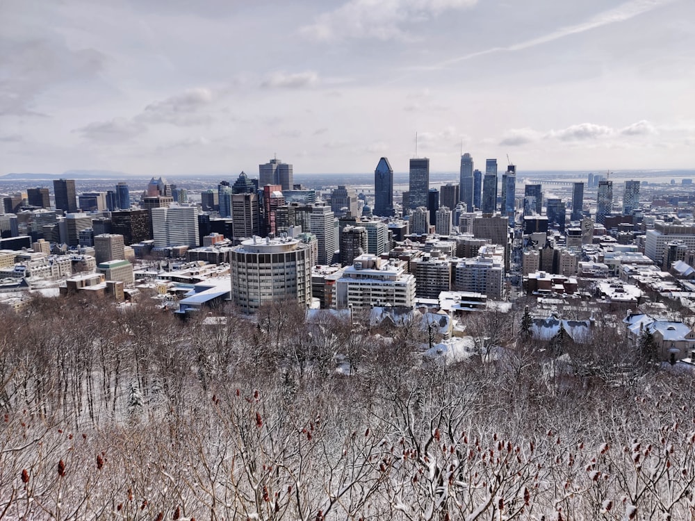 city skyline under blue sky during daytime