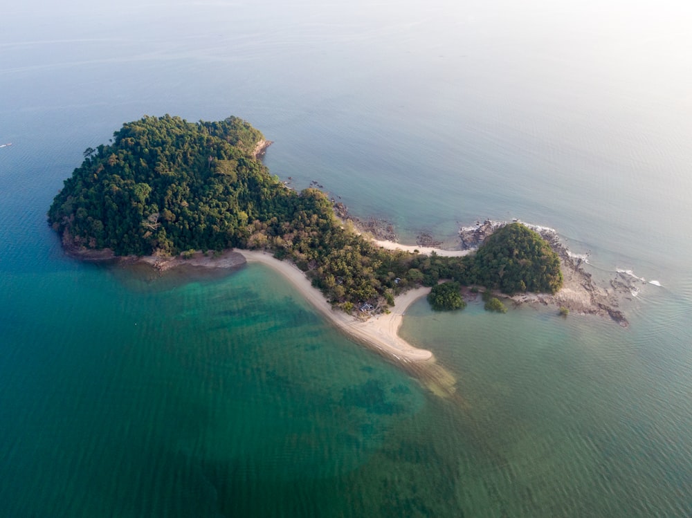 green trees on island surrounded by water during daytime