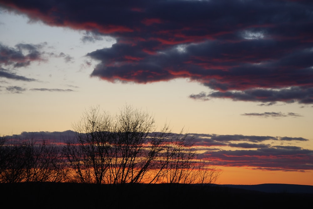 silhouette of trees under cloudy sky during sunset