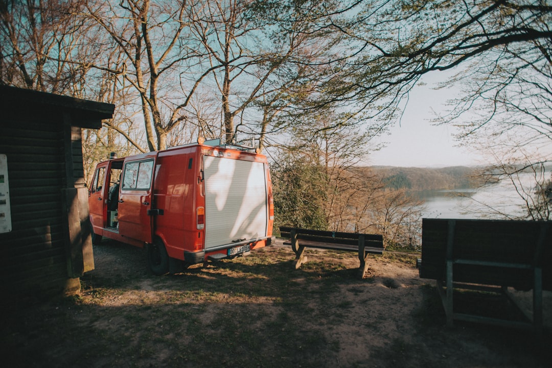 red and white camper trailer near brown bare trees during daytime