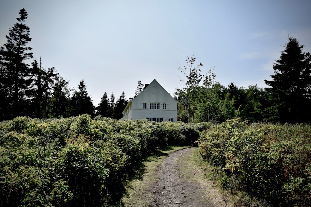 weißes Holzhaus tagsüber von grünen Bäumen unter blauem Himmel umgeben