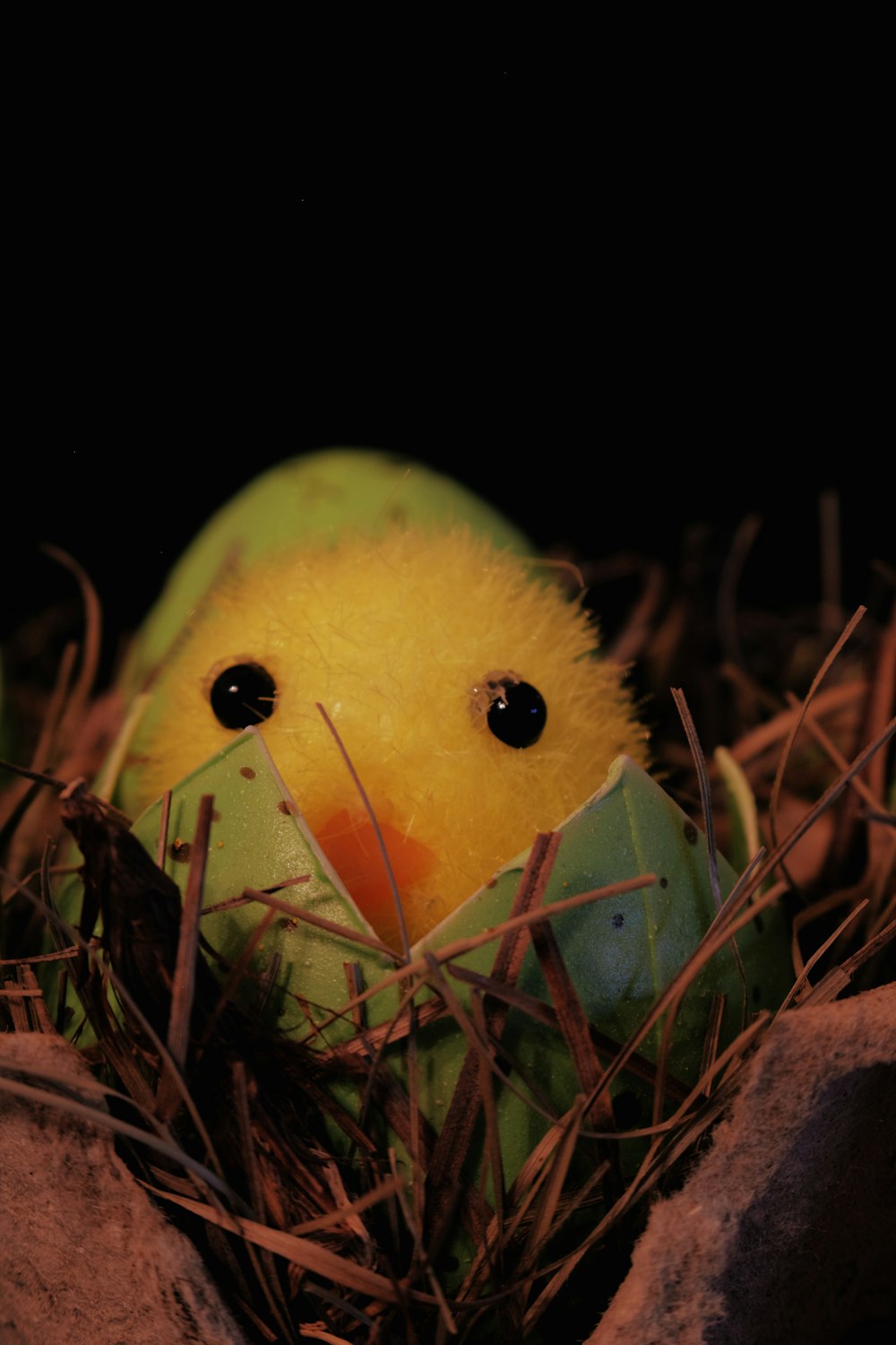 yellow and green chick on brown dried leaves