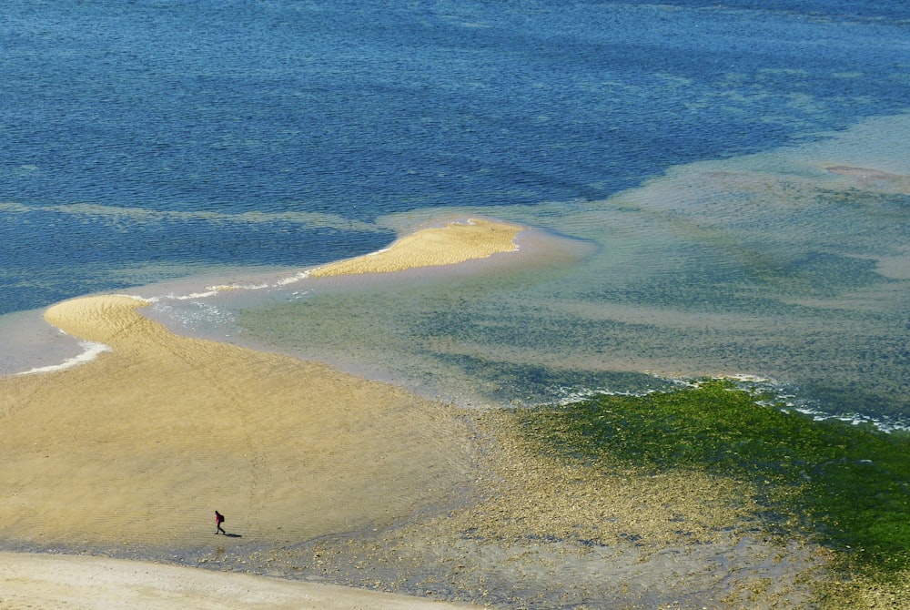 person walking on beach during daytime