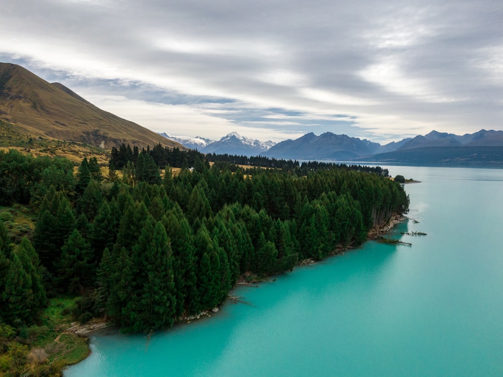 lago verde cercado por árvores verdes e montanha durante o dia