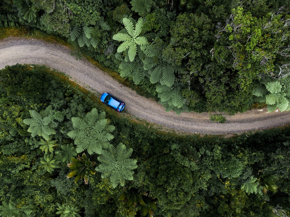 blue car on road during daytime