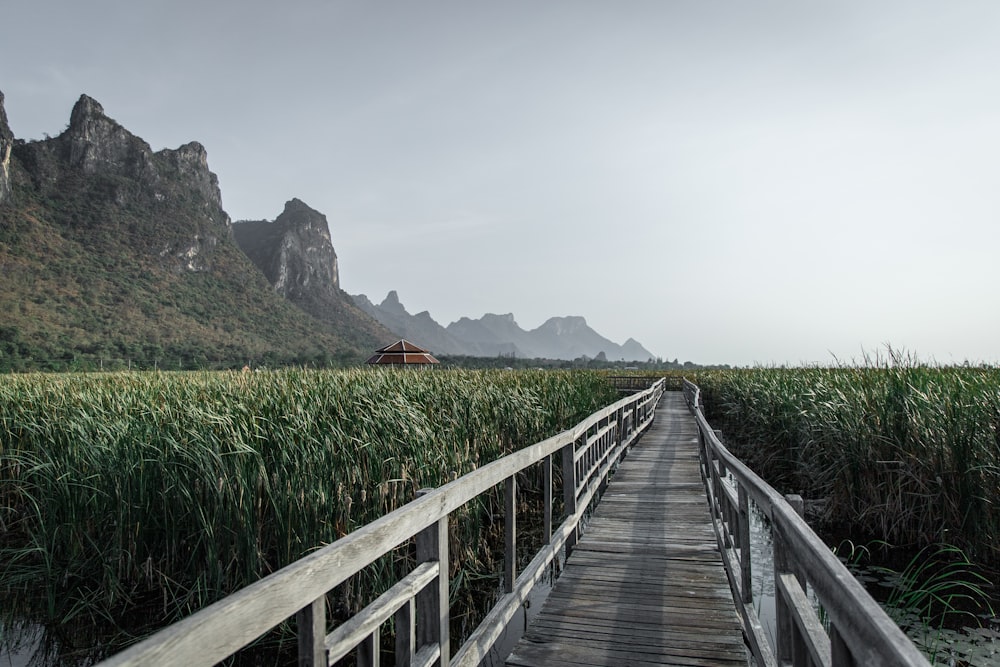 brown wooden bridge over green grass field near mountain during daytime