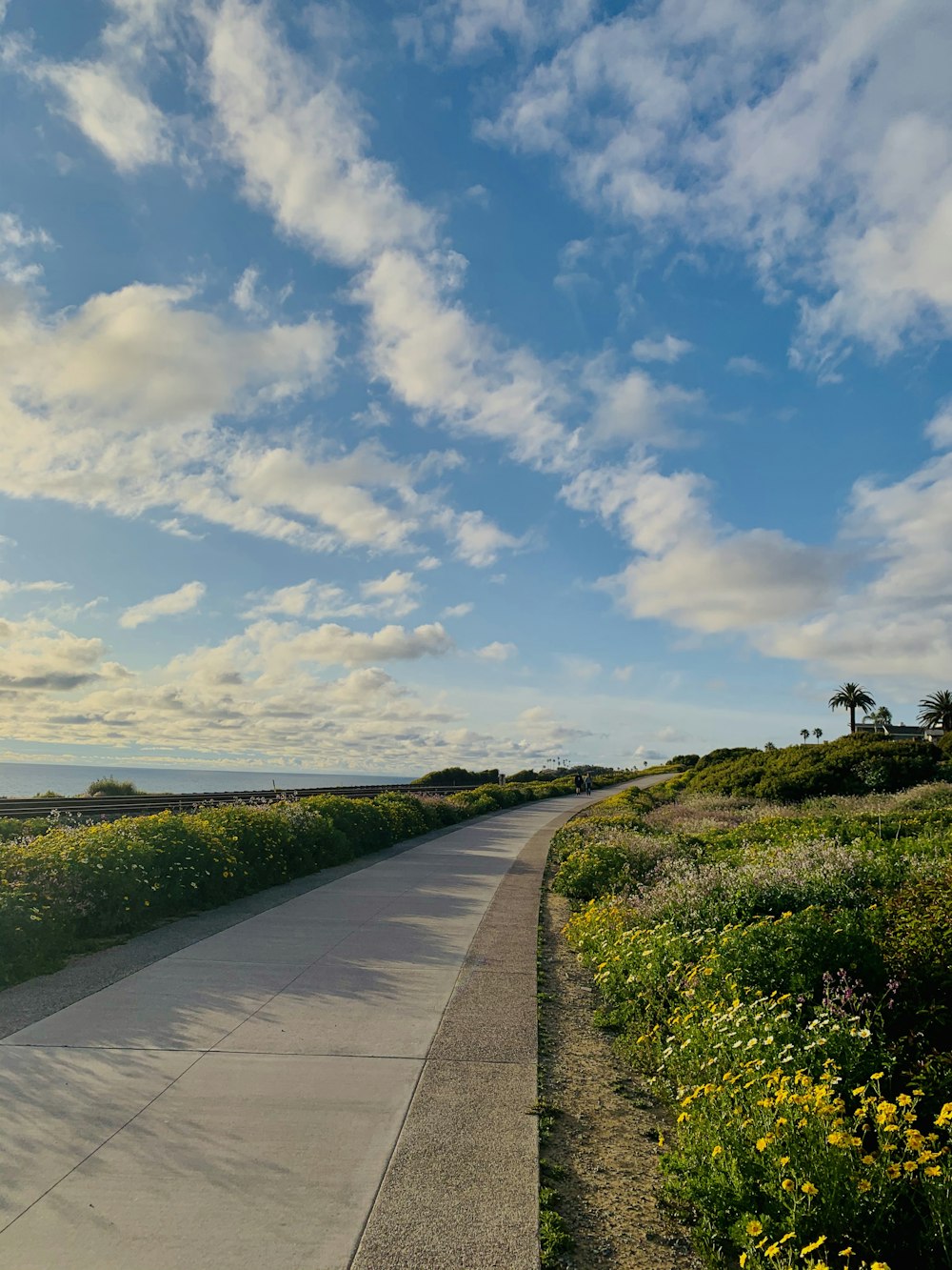 gray concrete pathway between green grass field under blue sky and white clouds during daytime