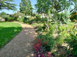 green grass field with green trees and plants