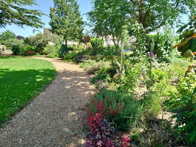 green grass field with green trees and plants