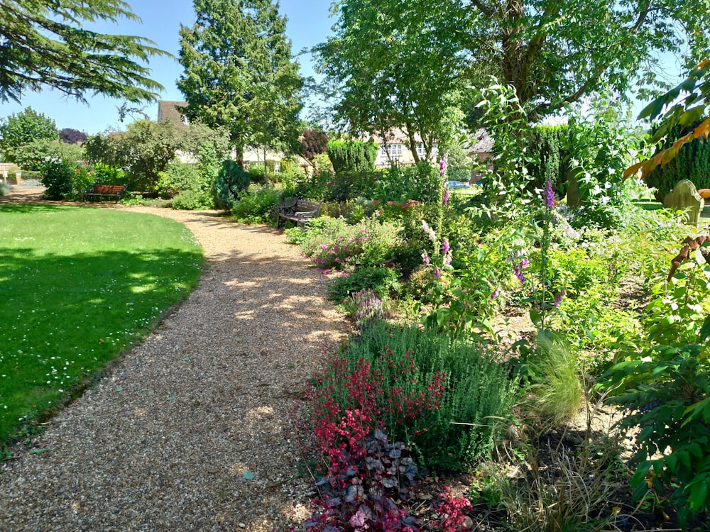 green grass field with green trees and plants