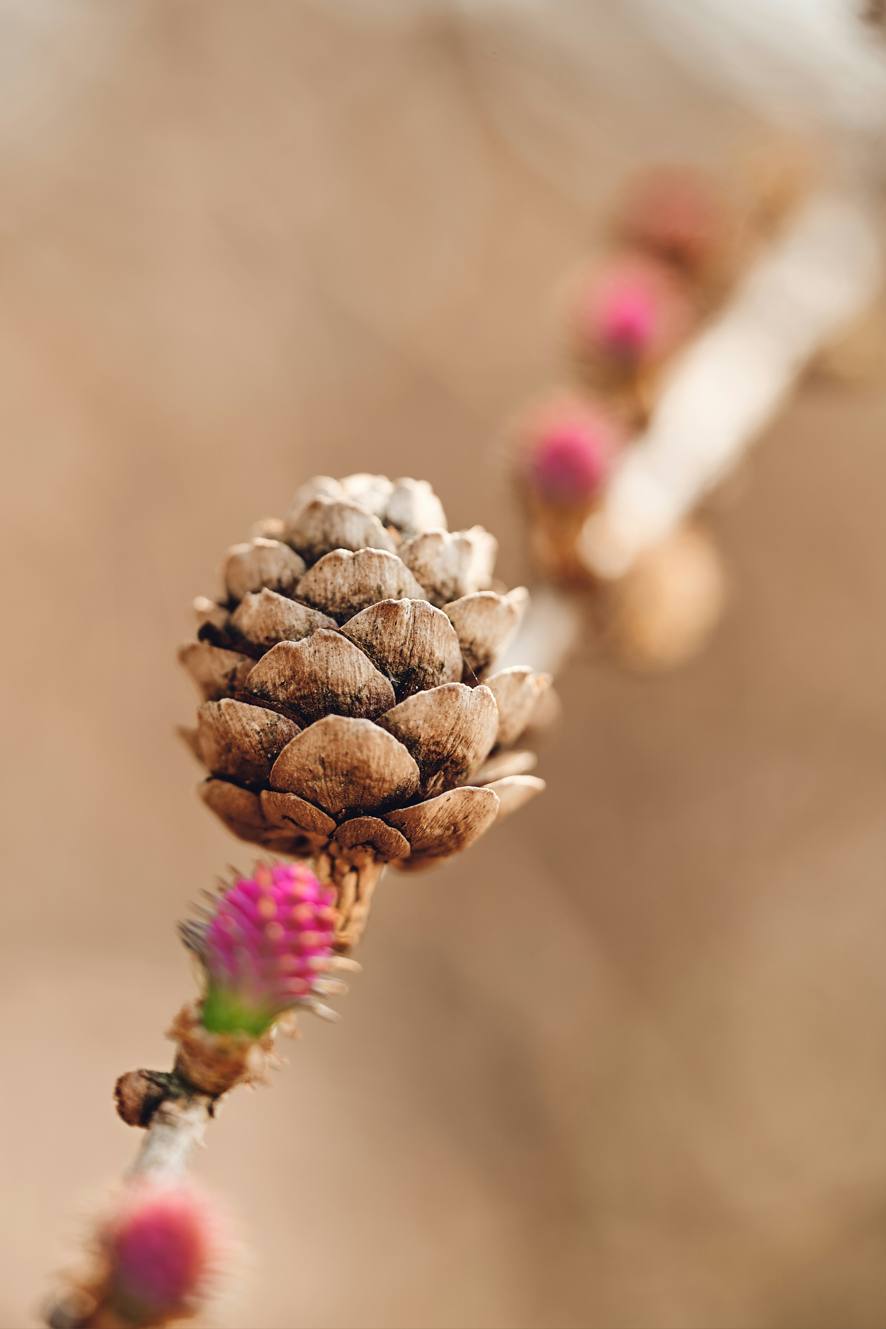 Photo by ingodoerrie