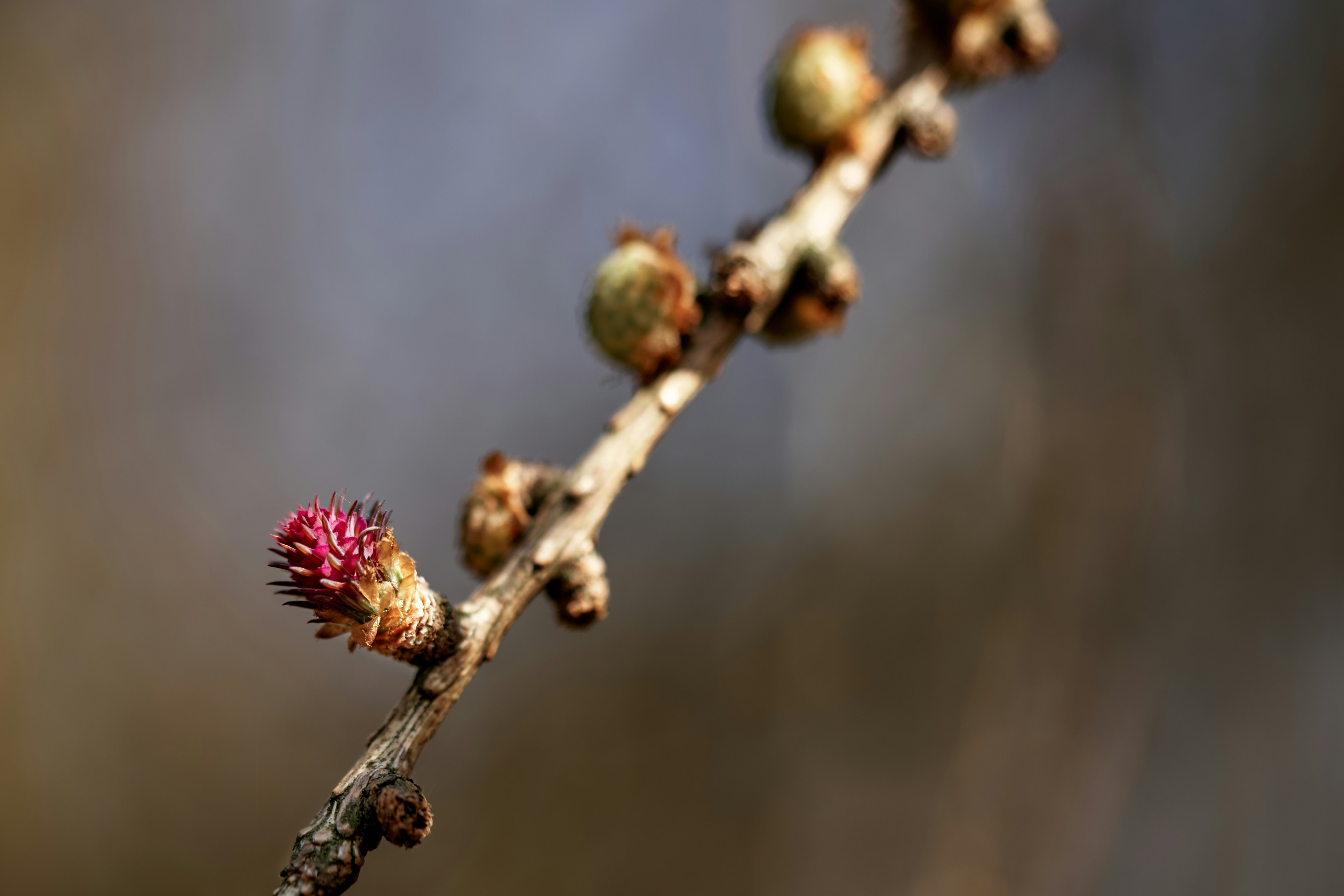 Photo by ingodoerrie