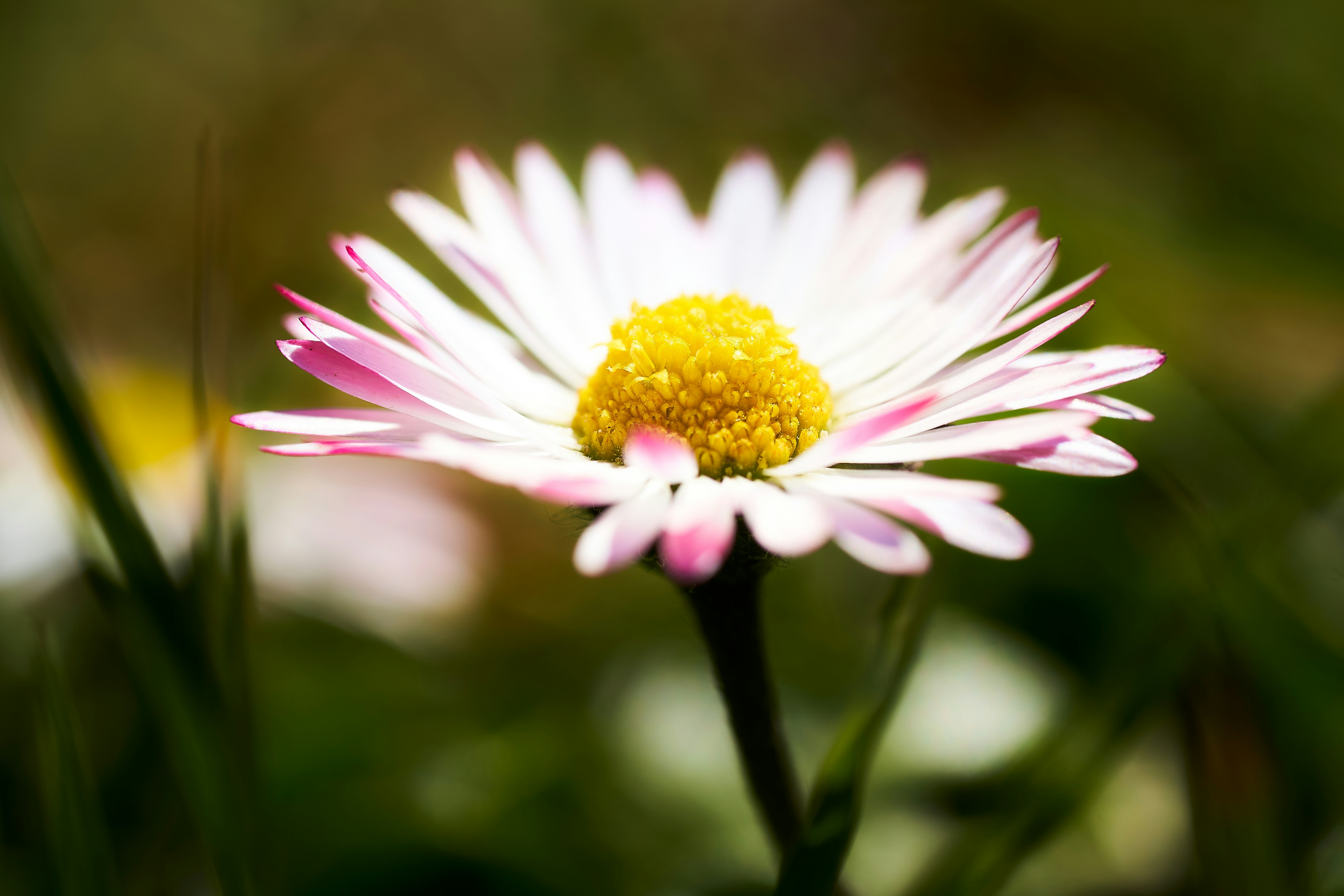 Photo by ingodoerrie