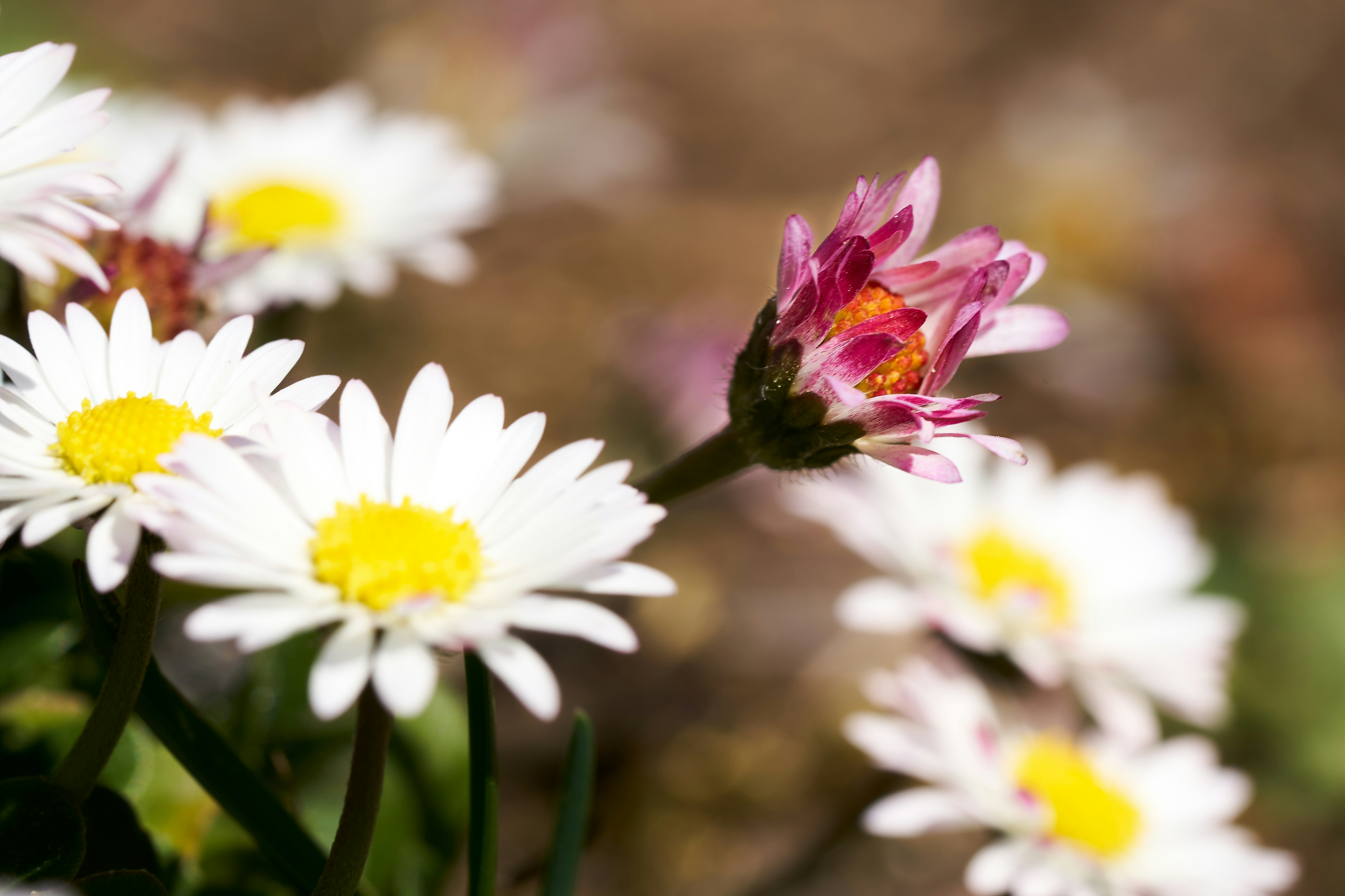 Photo by ingodoerrie