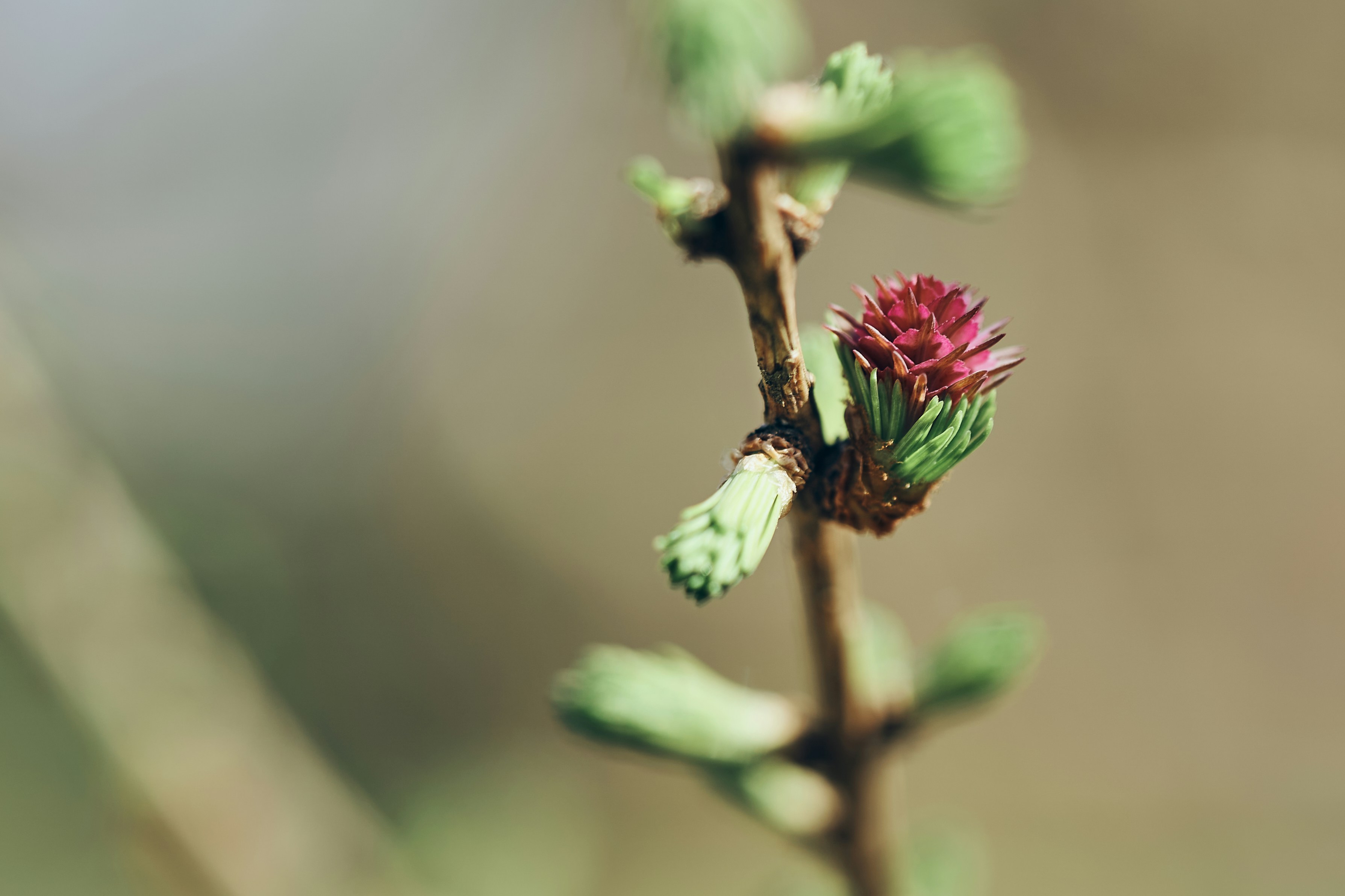 Photo by ingodoerrie