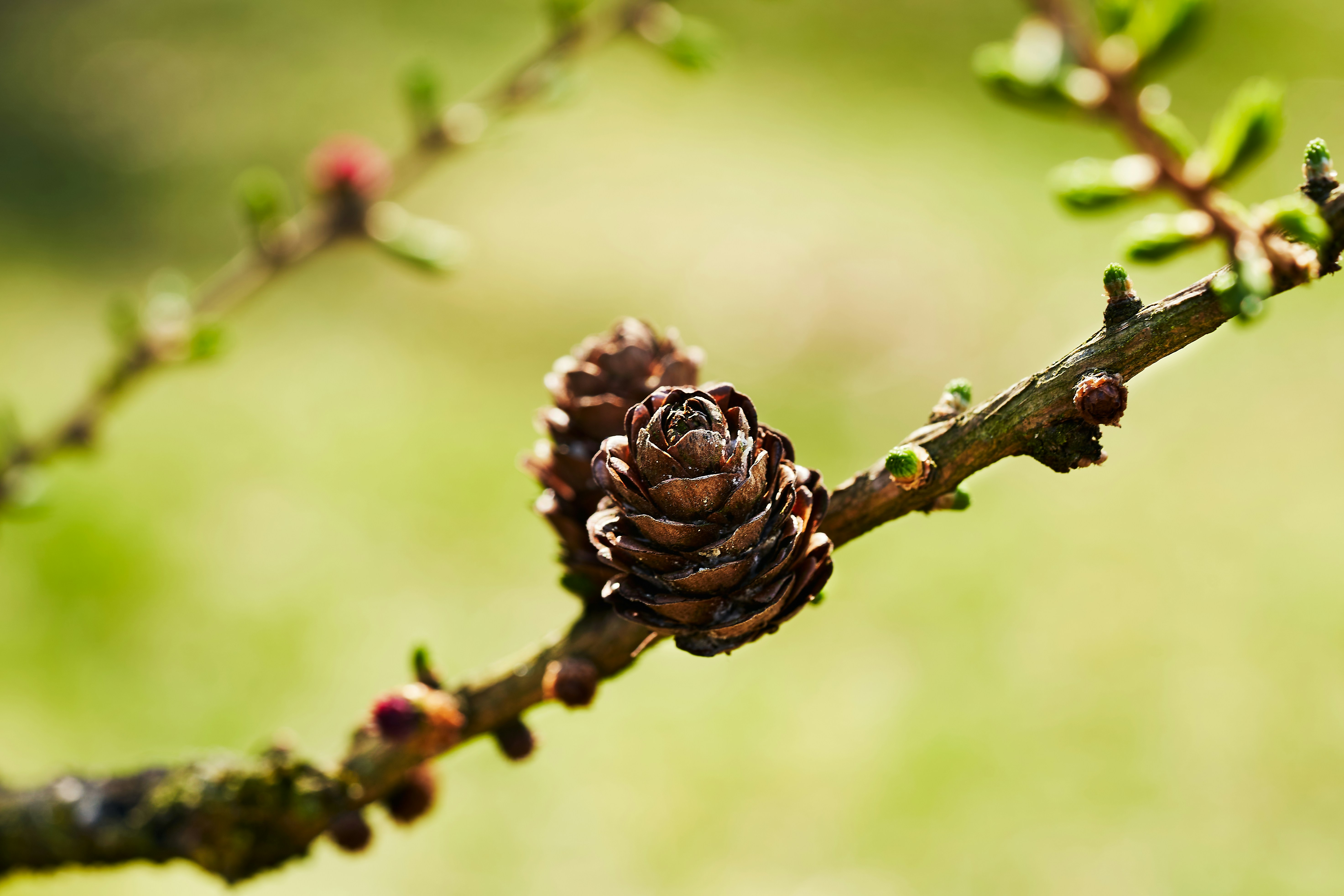 Photo by ingodoerrie