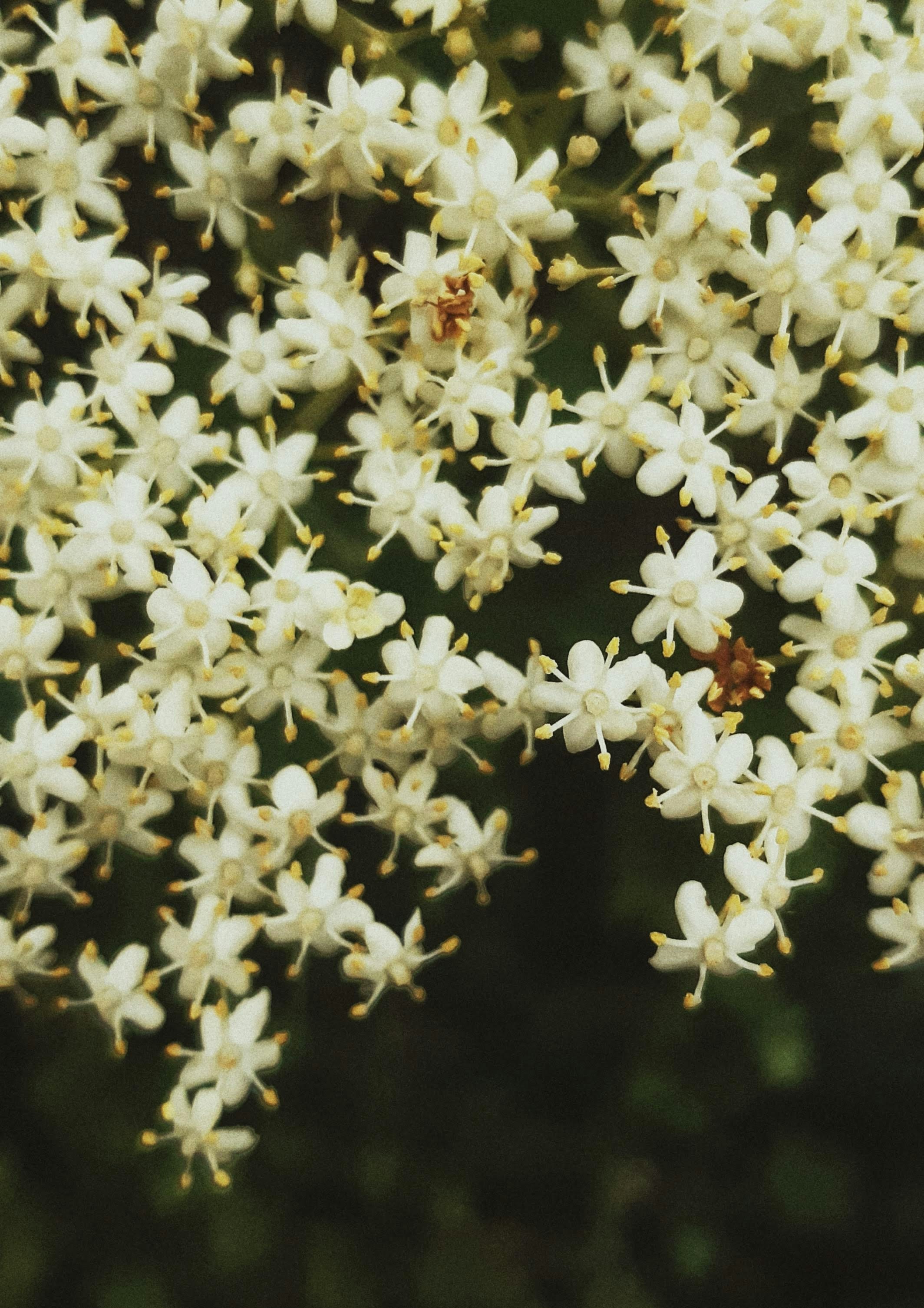 Photo by zhangqinzhe