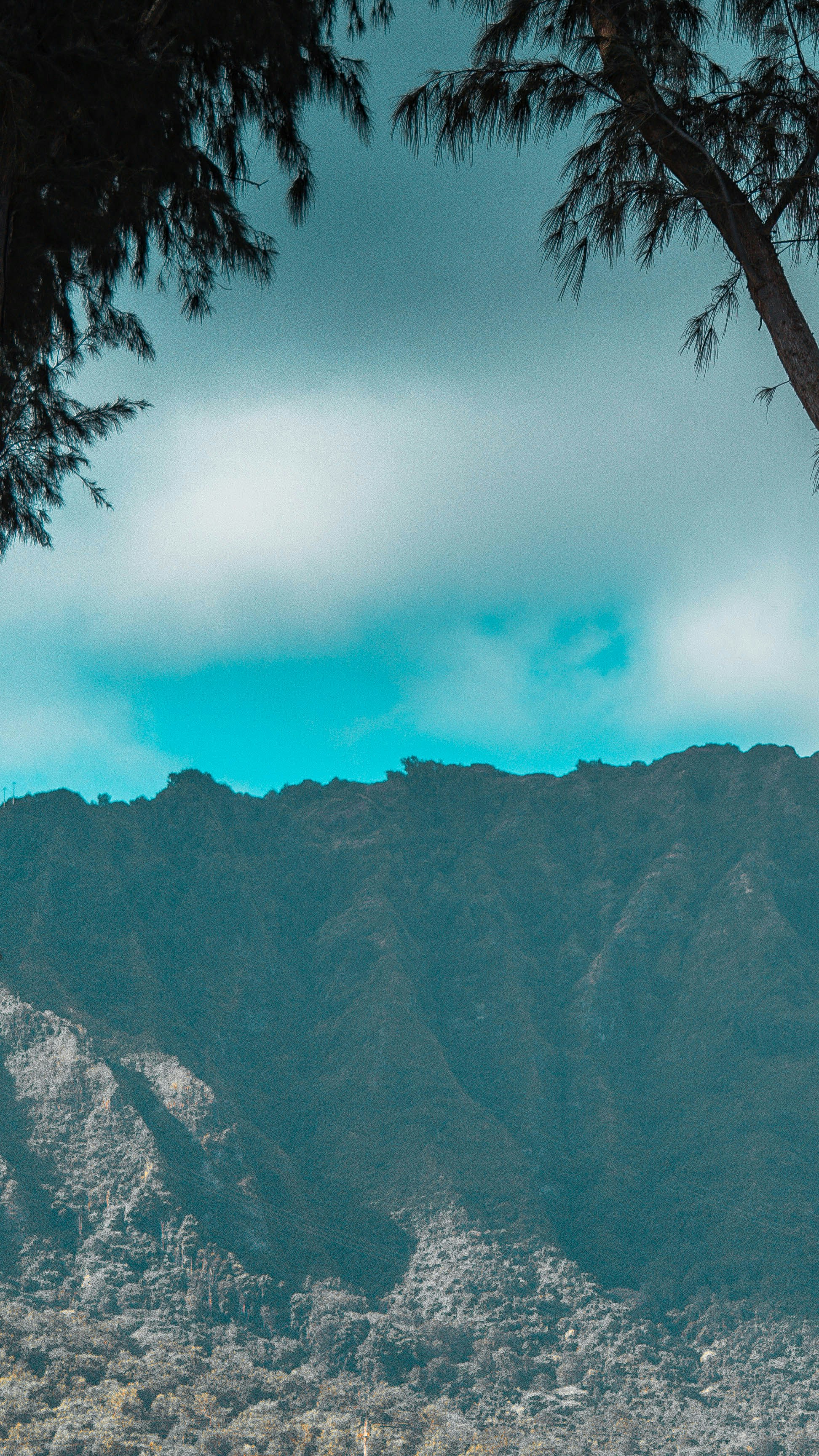 Photo by colefreeman