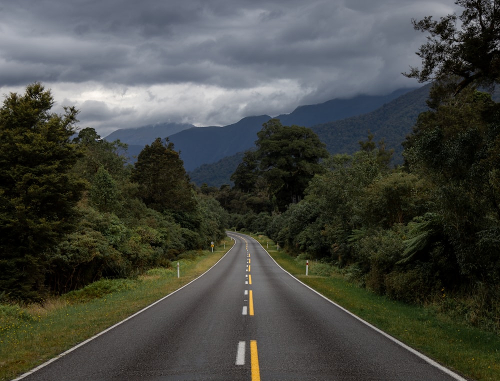 gray concrete road between green trees under gray sky