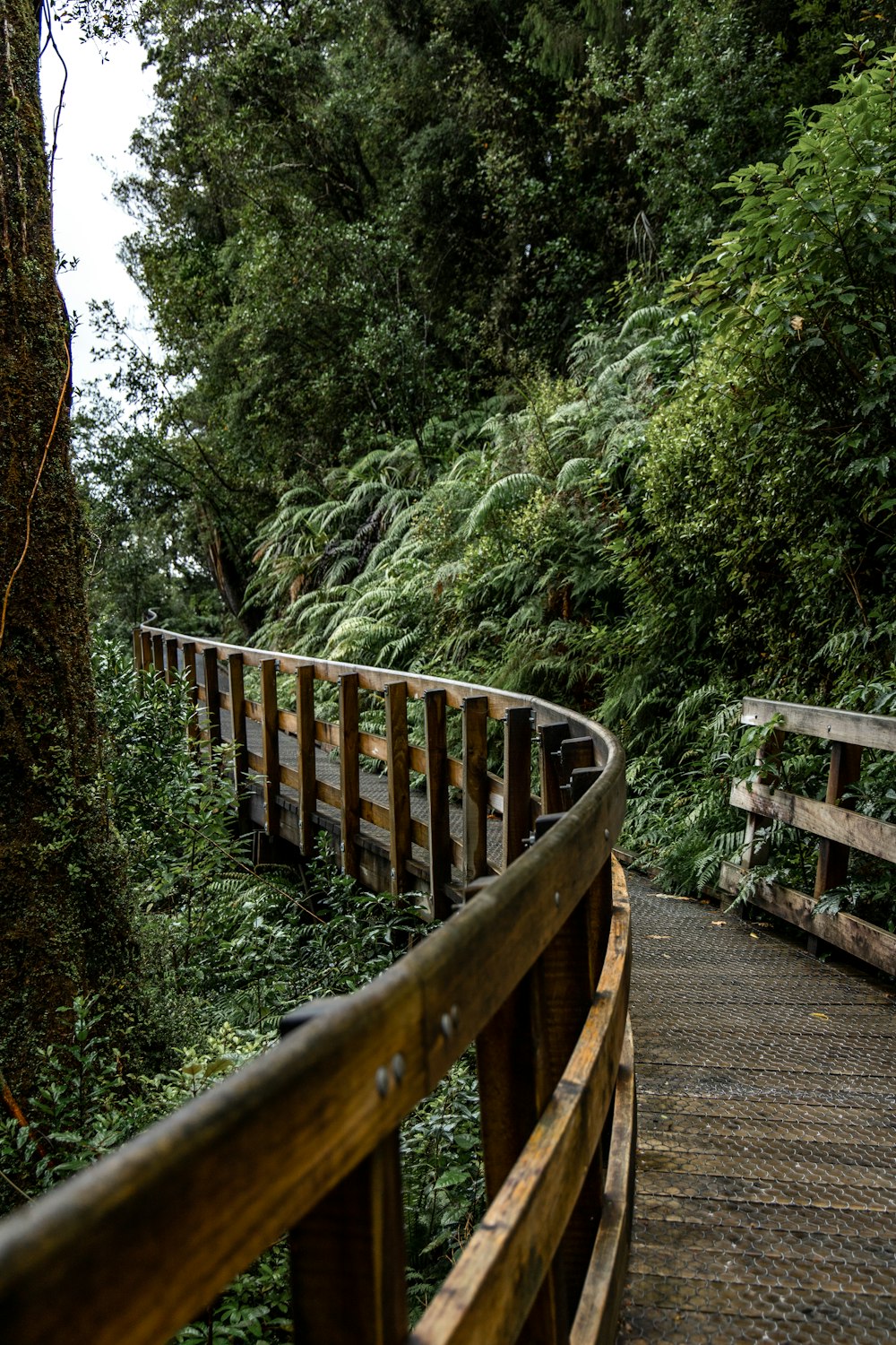 brown wooden bridge in the forest