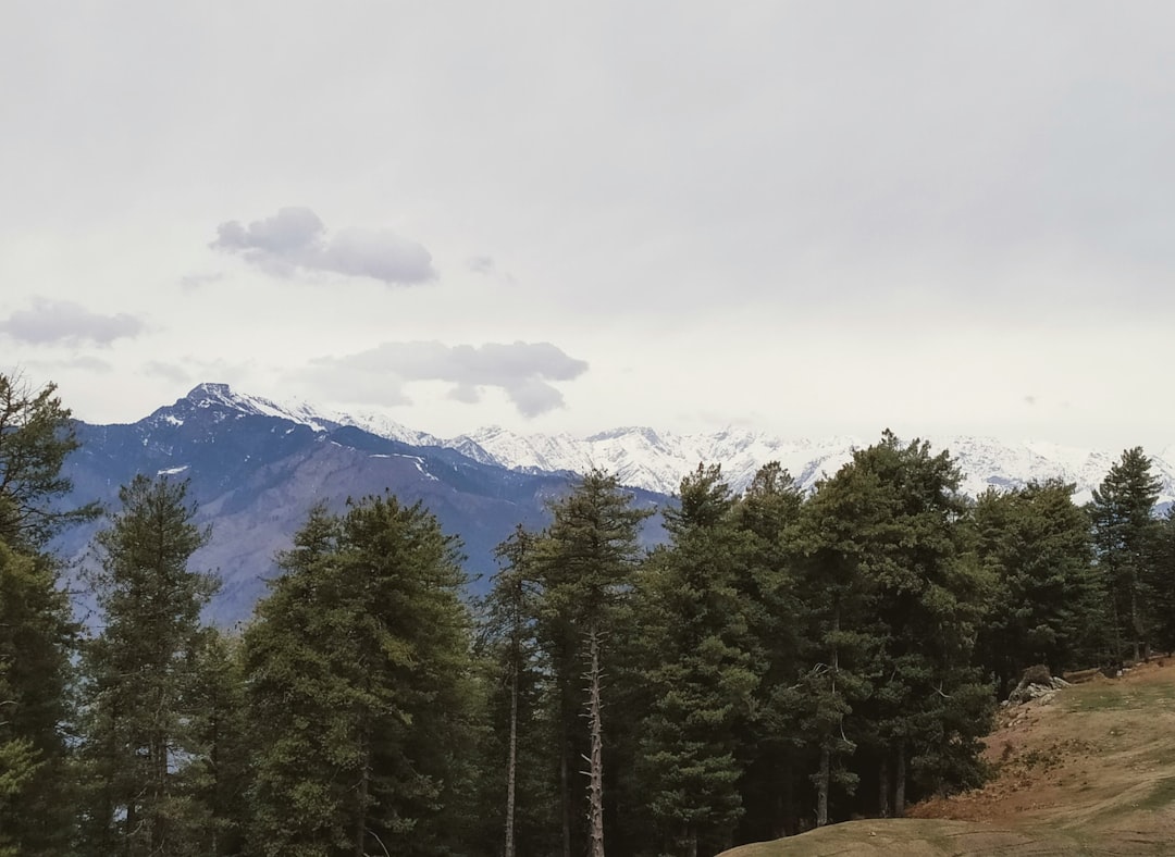 travelers stories about Hill station in Manali, India