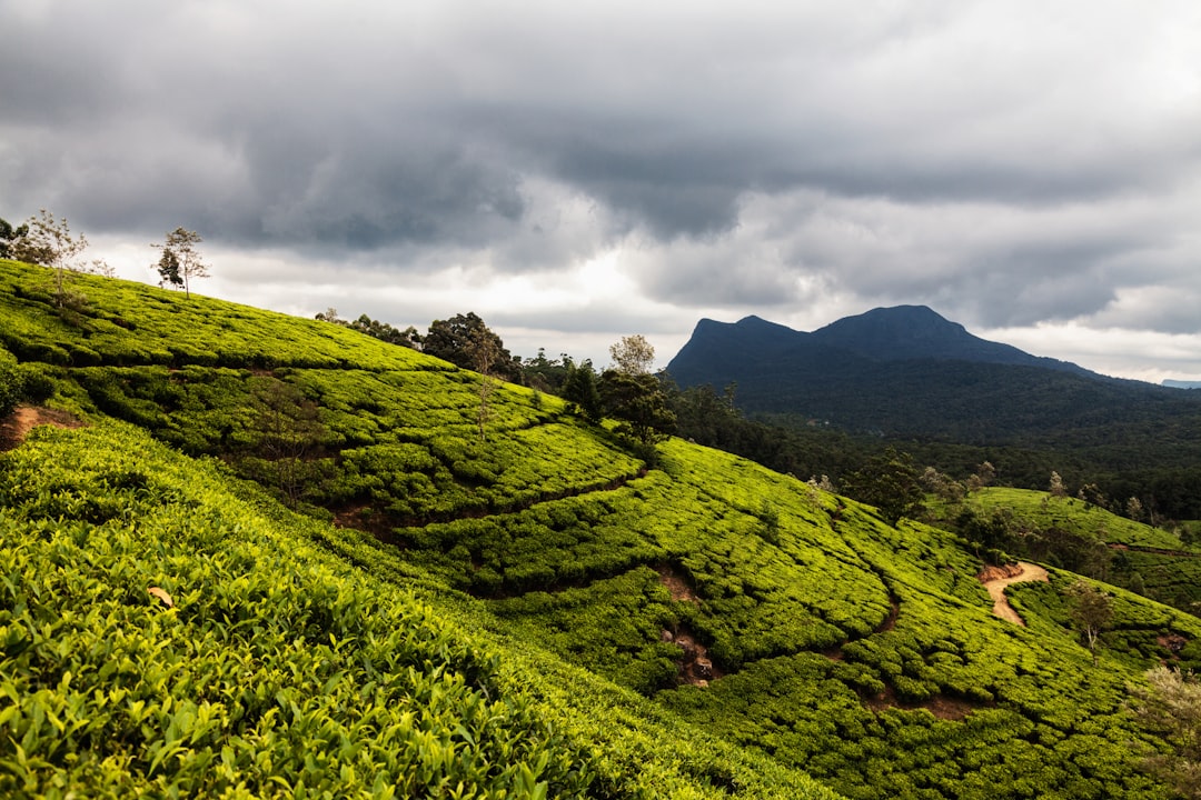 Hill station photo spot Nuwara Eliya Ella