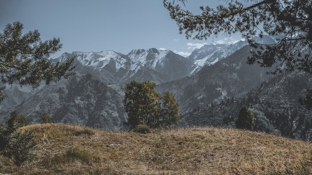 green grass field near snow covered mountain during daytime