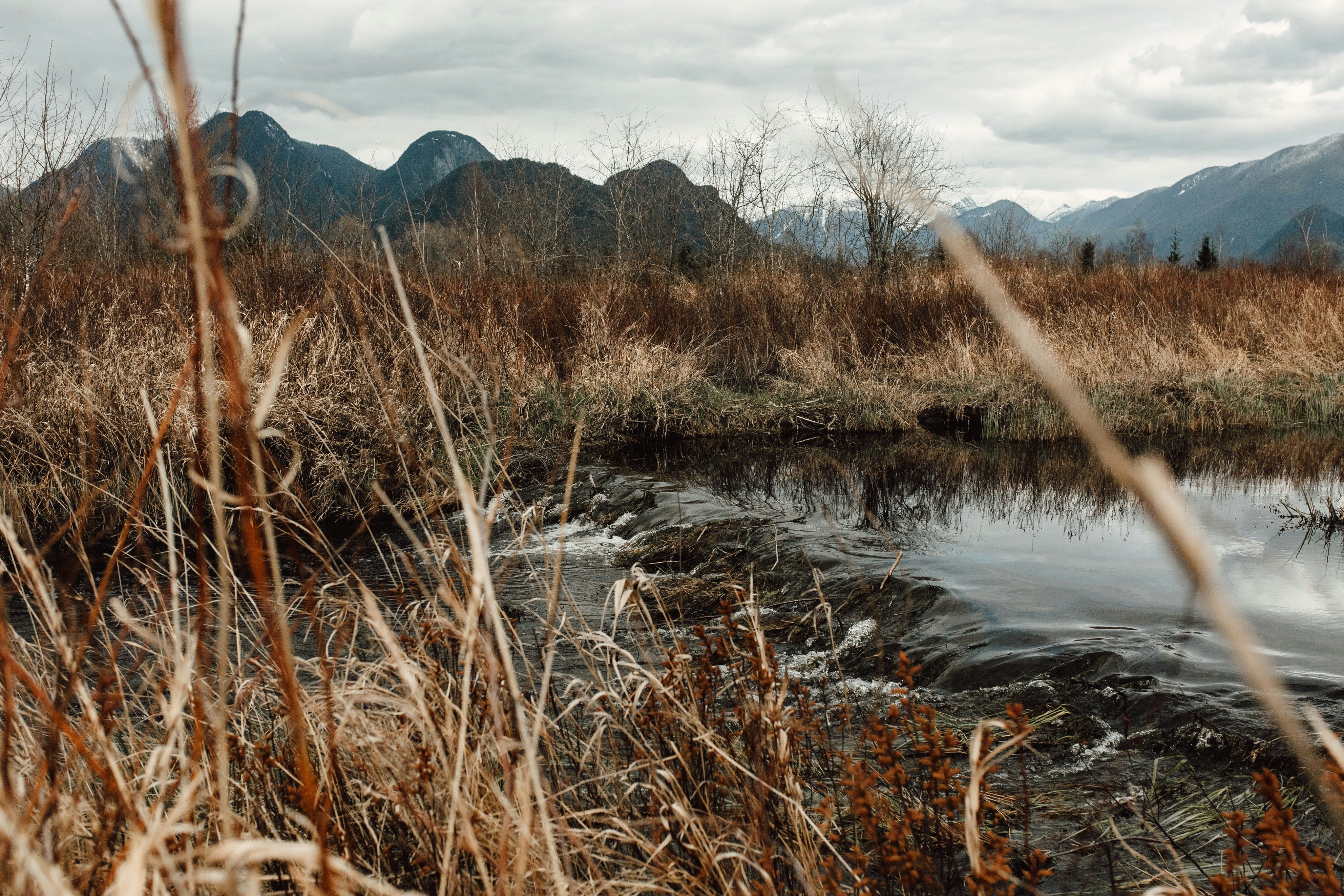 Photo by natureuninterrupted1