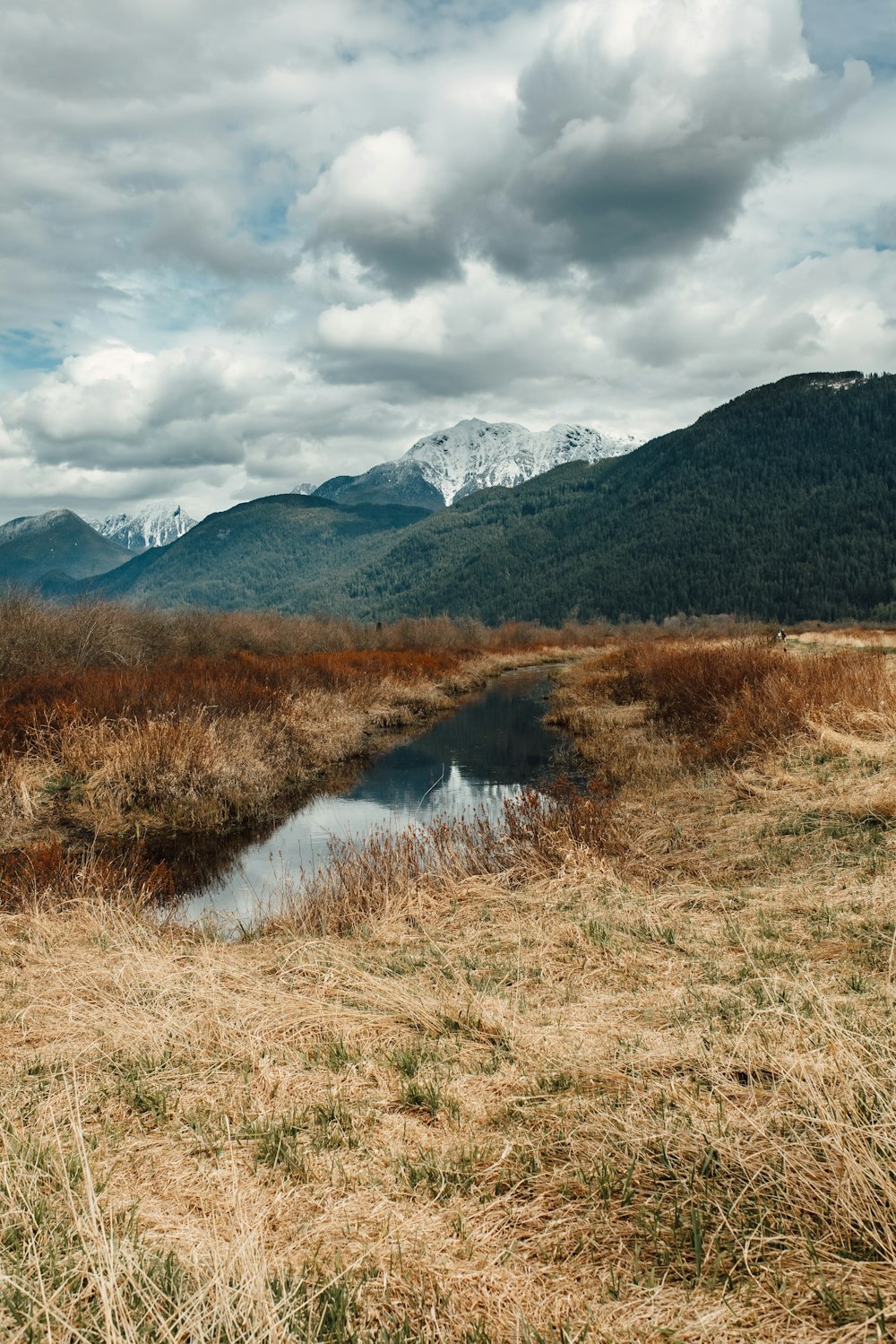 green grass field near lake and mountains under white clouds and blue sky during daytime