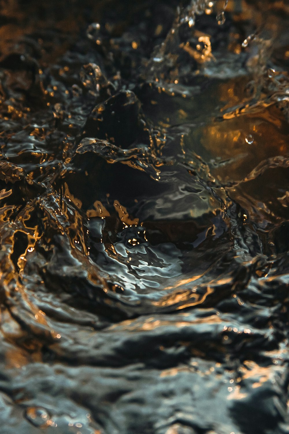 brown dried leaves on water