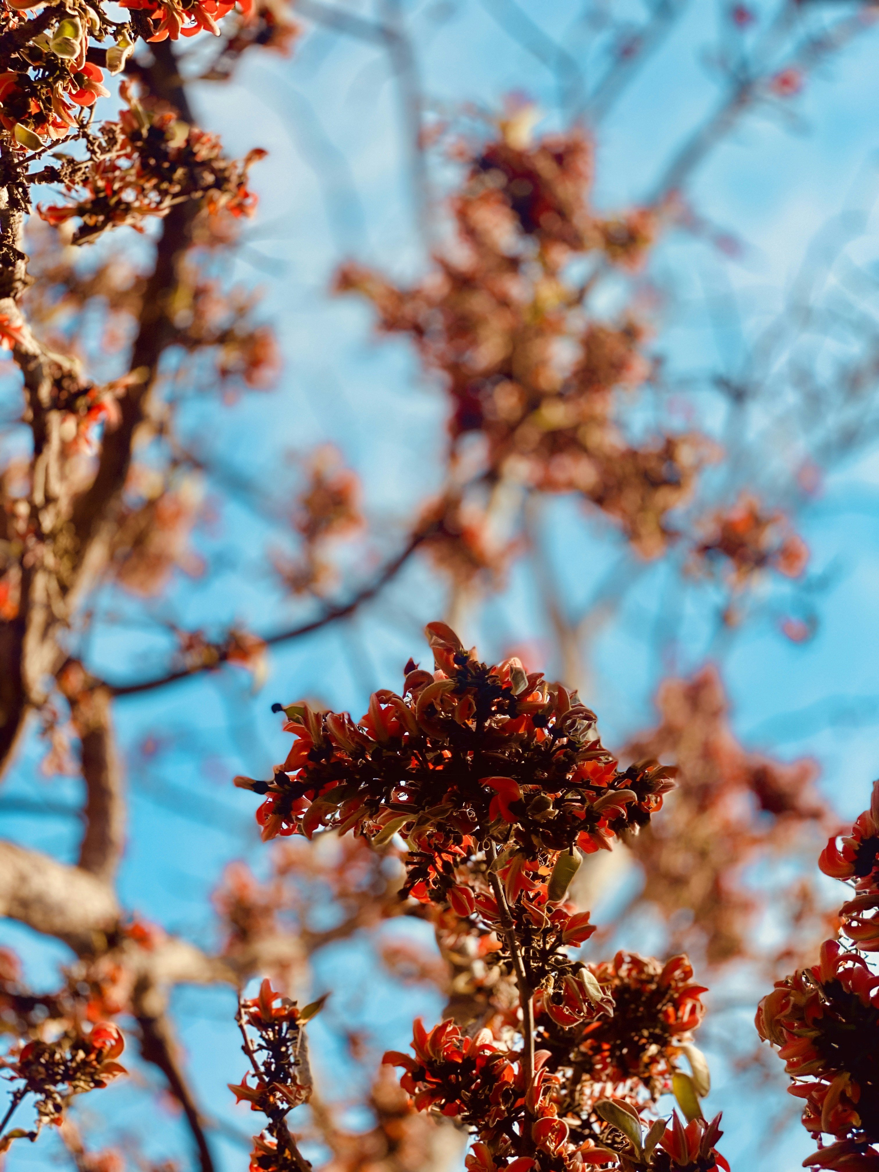 Photo by shashank630