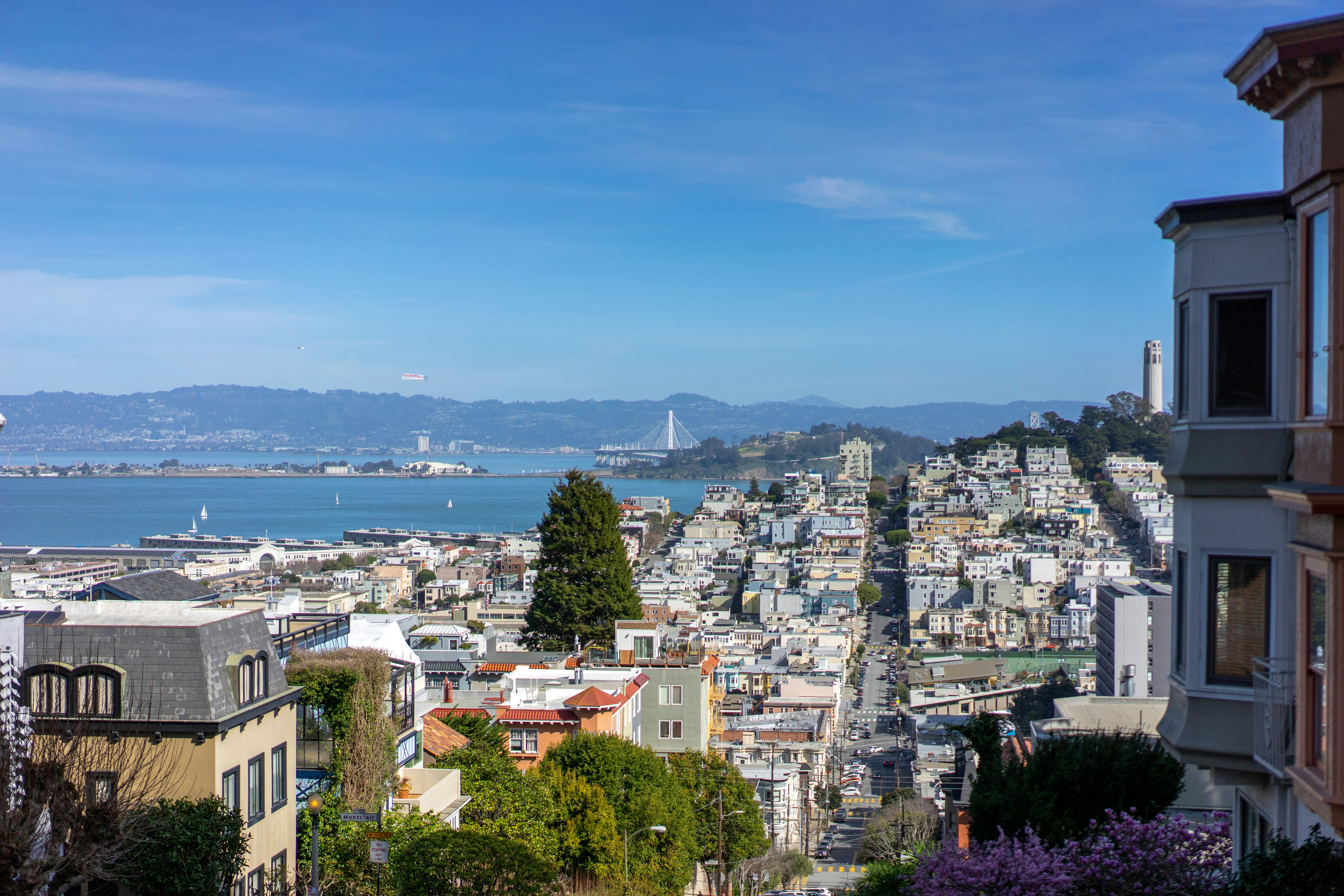 Photo by clayton_cardinalli