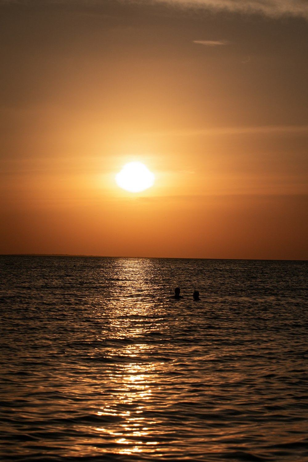 silhouette of people on sea during sunset