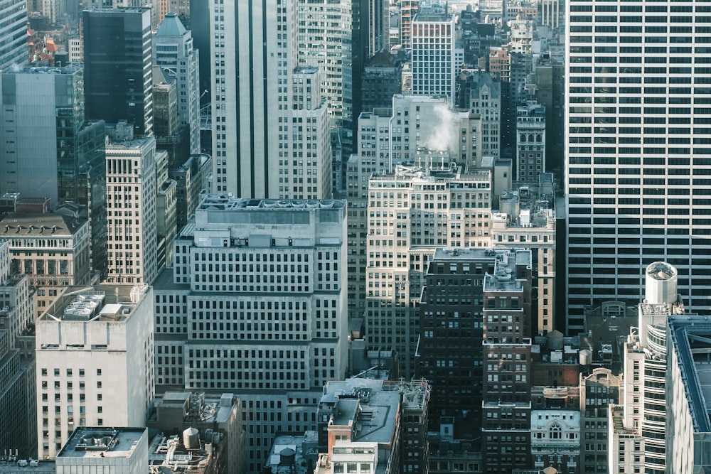 high rise buildings during daytime