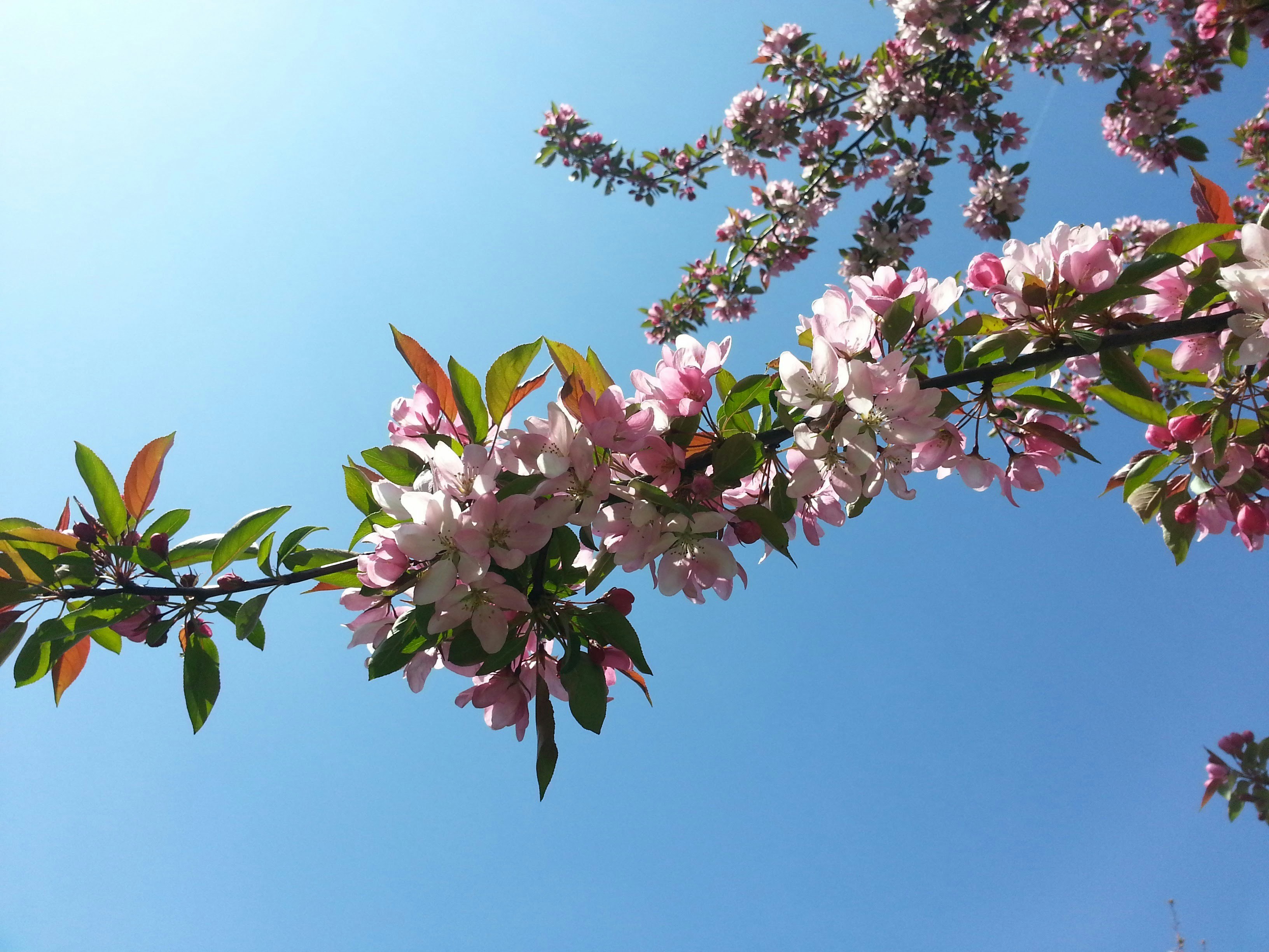 Photo by domnikadela