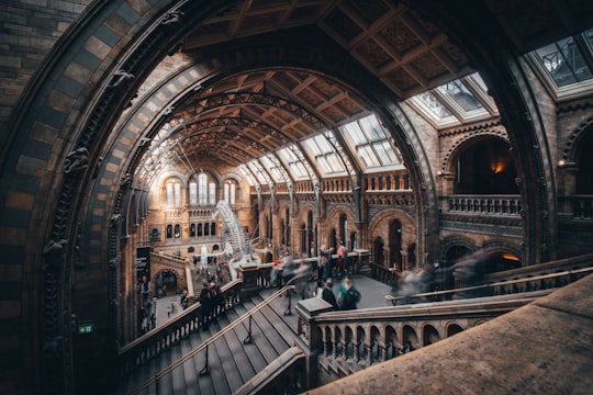 people walking on brown and gray concrete building in Natural History Museum United Kingdom