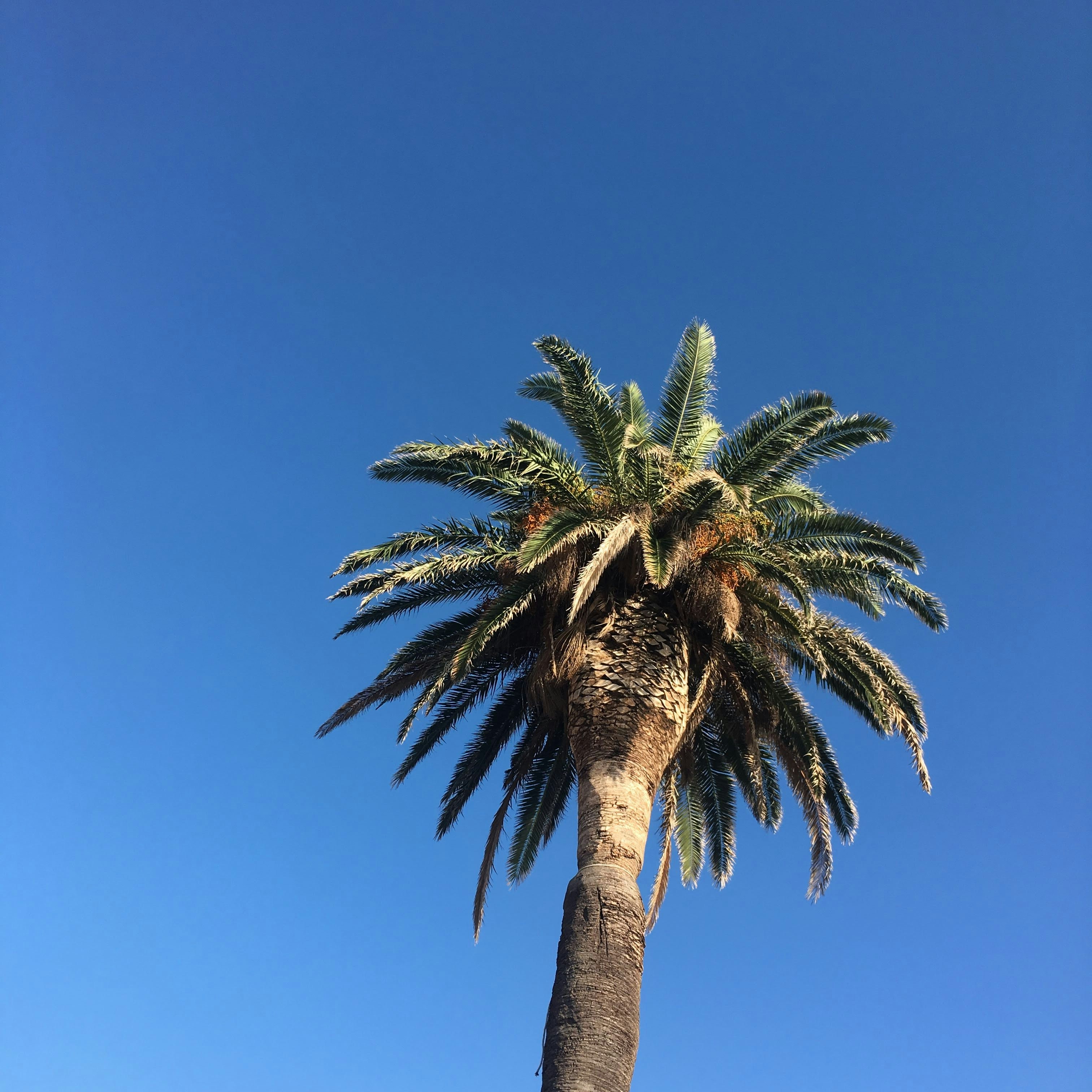 Photo by domnikadela