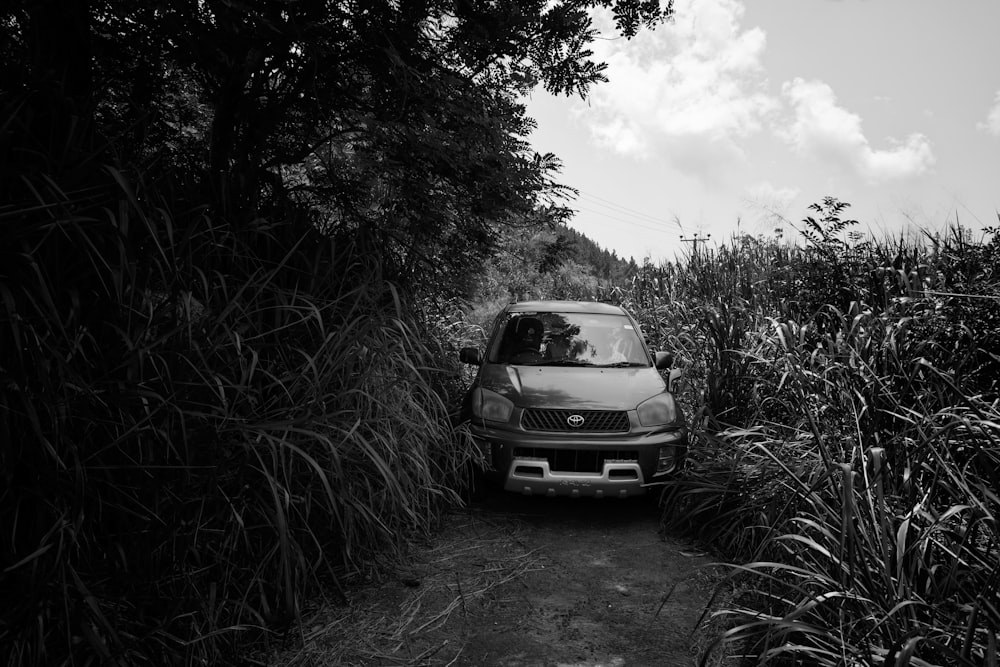 grayscale photo of car on grass field