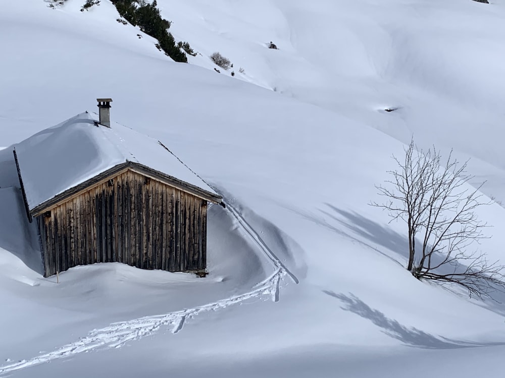 昼間は雪に覆われた地面に茶色い木造住宅