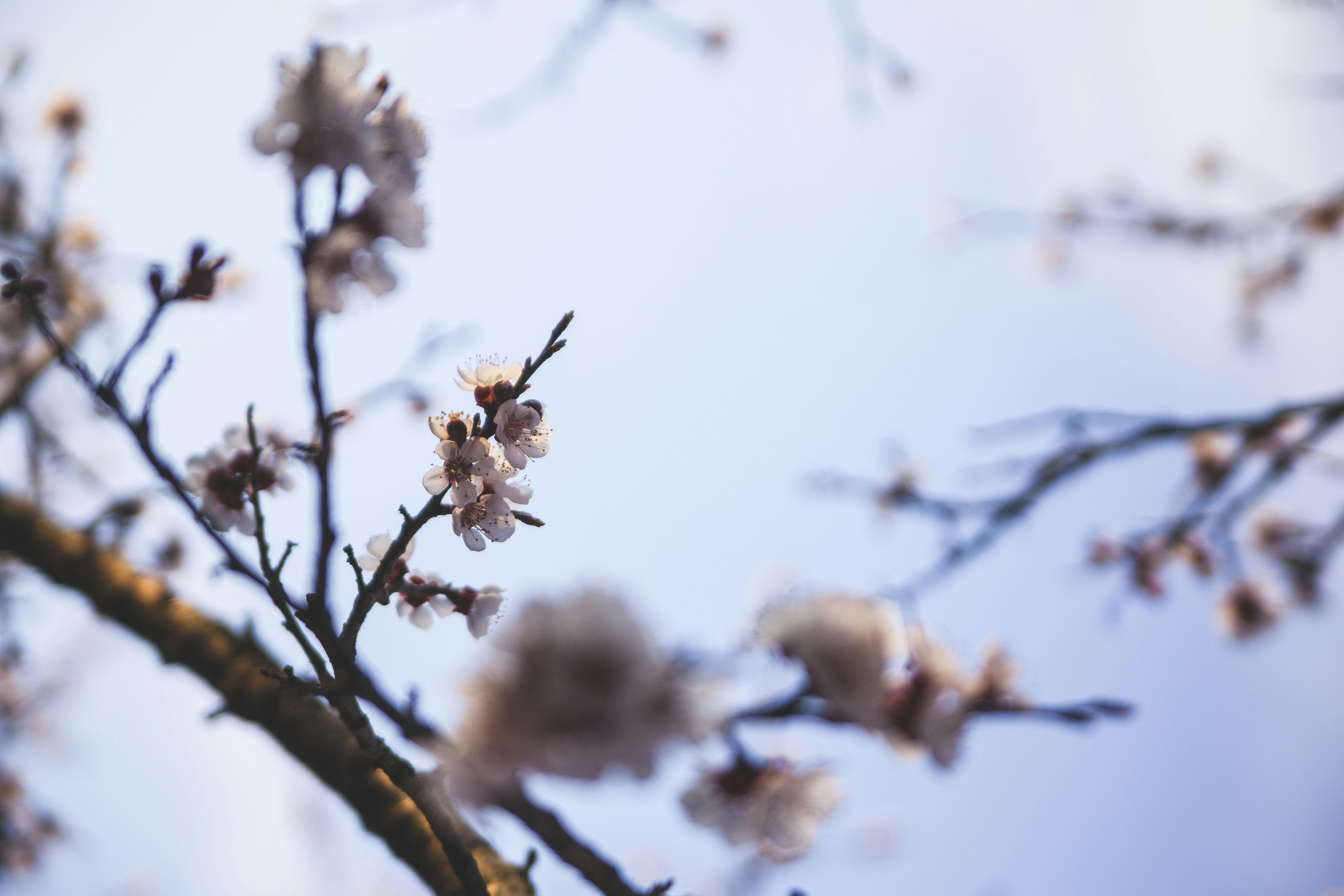 Photo by balu_gaspar