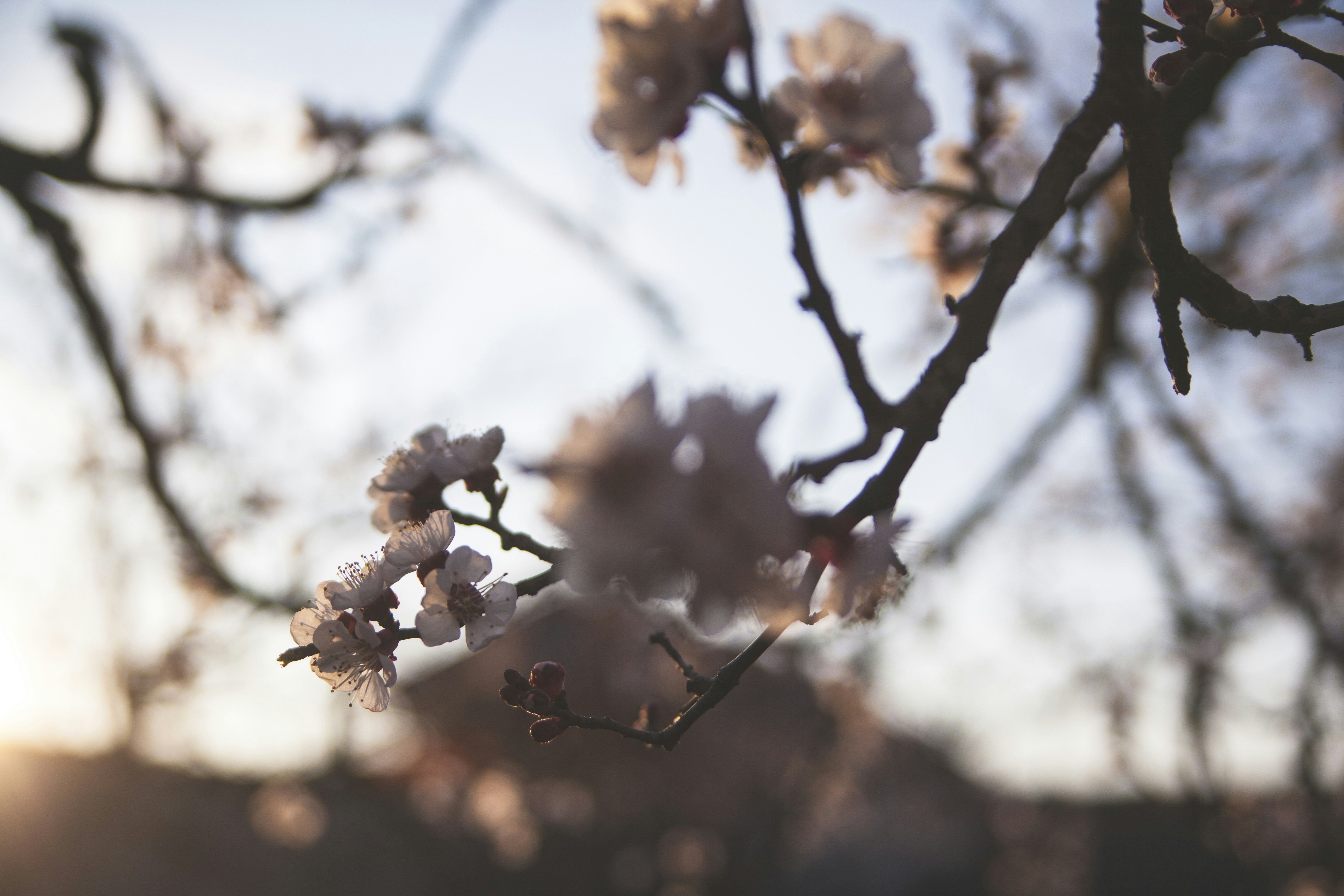 Photo by balu_gaspar