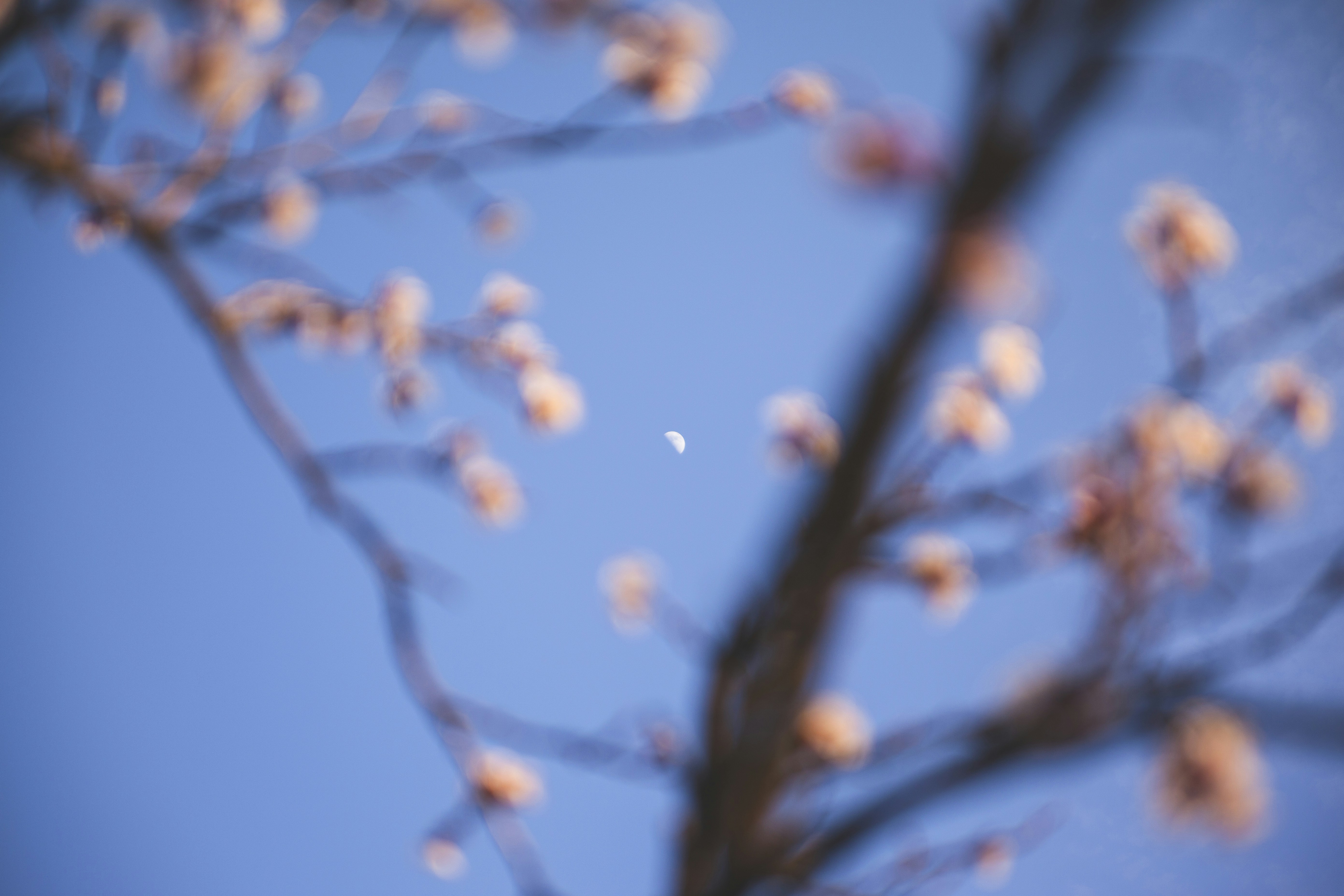 Photo by balu_gaspar