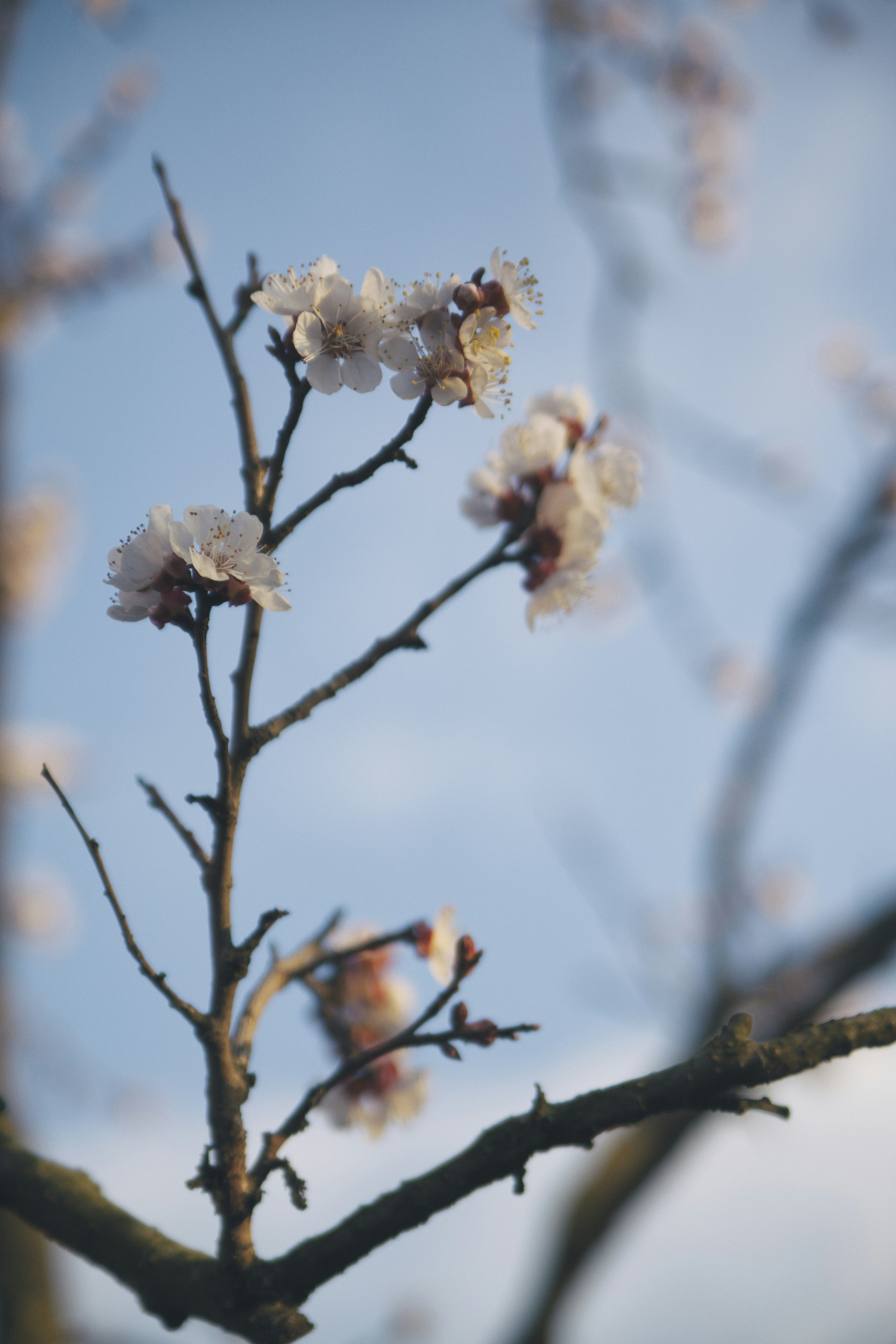 Photo by balu_gaspar