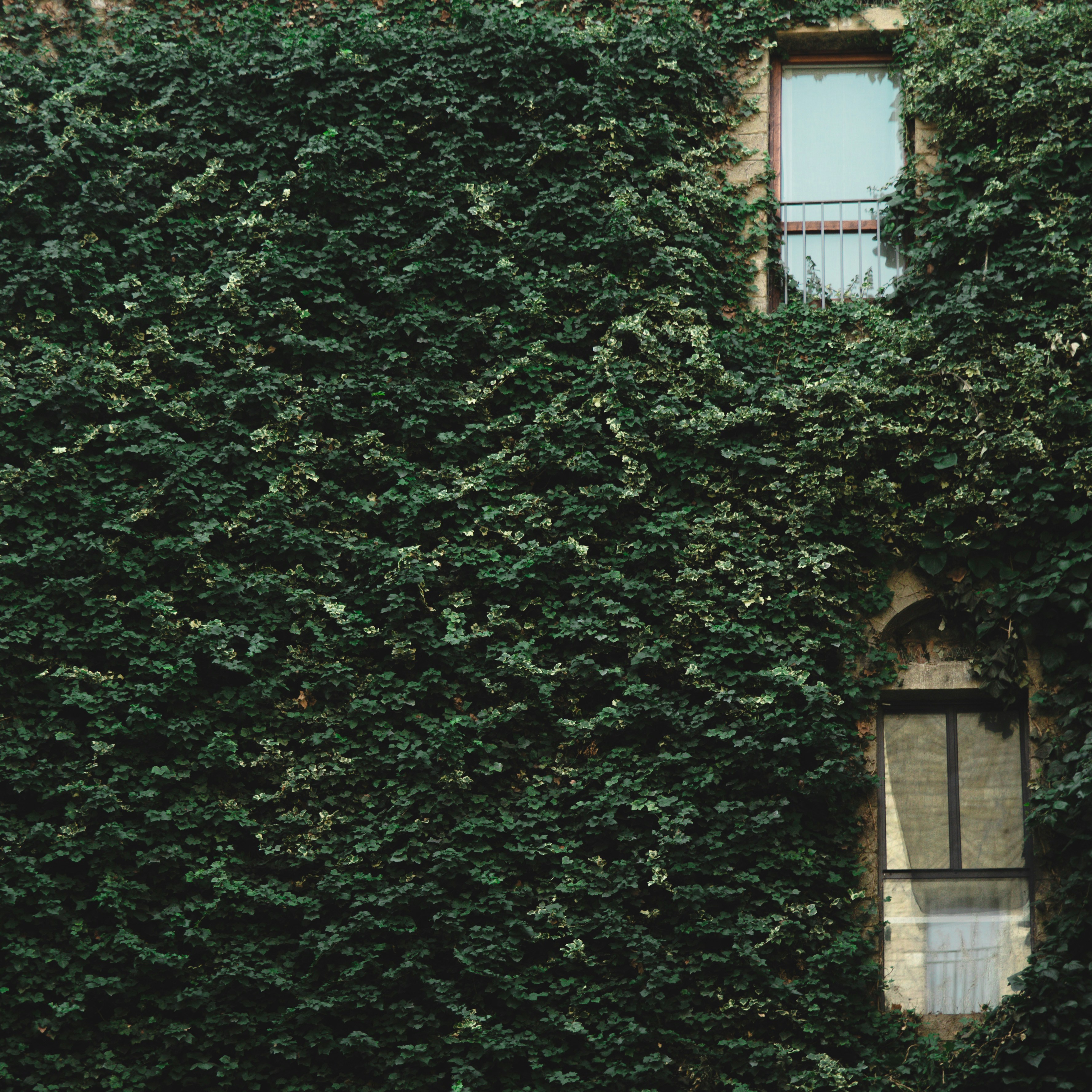 Photo by Nicola Pavan