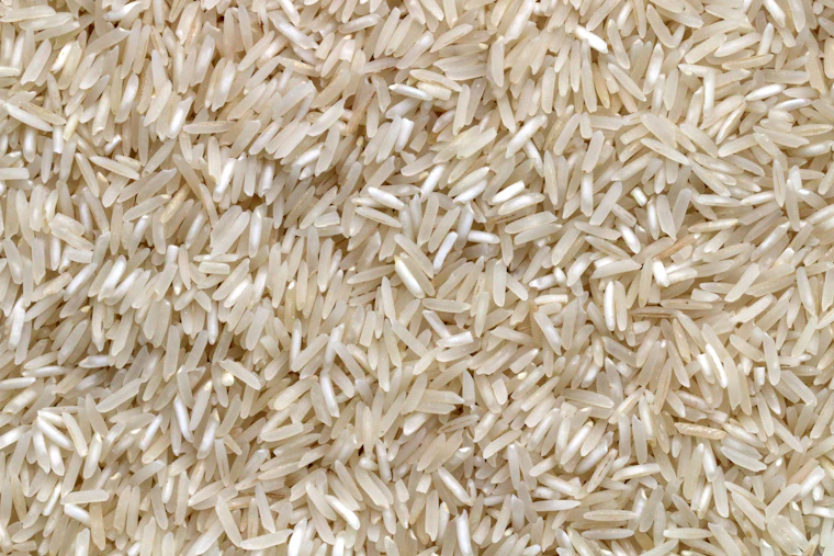 Long-grain white rice in bulk before bagging.
