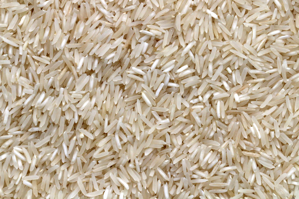 Premium basmati rice
