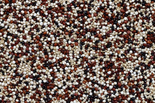 can my dog eat Quinoa