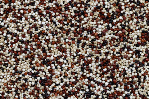 White, red and black quinoa grains