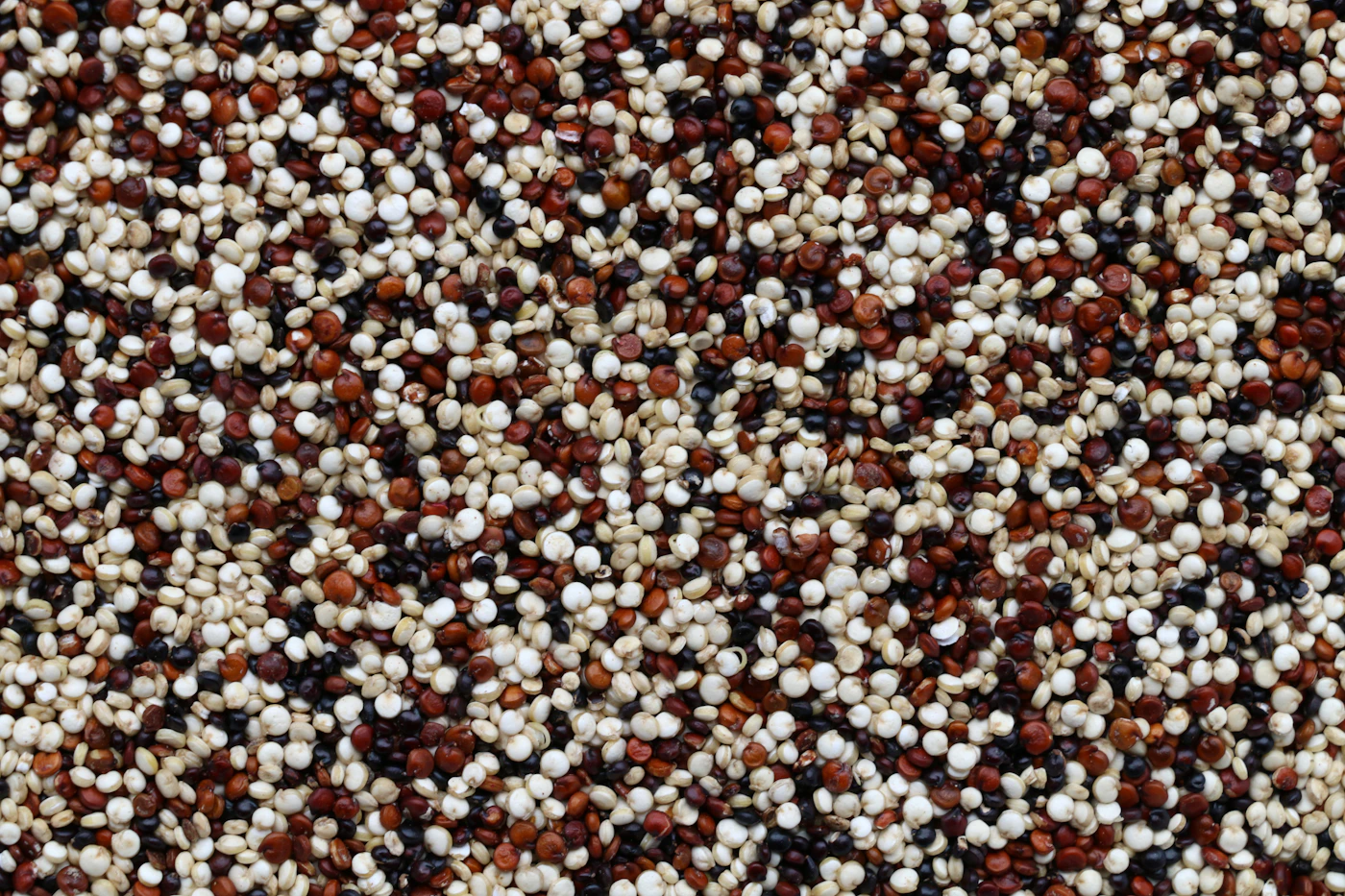 Peruansk quinoa-bowl med rostade grönsaker